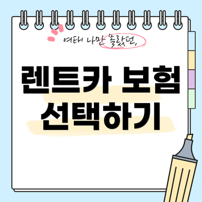 렌트카 보험 선택하기