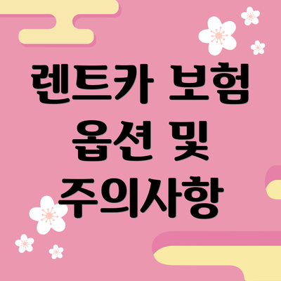렌트카 보험 옵션 및 주의사항