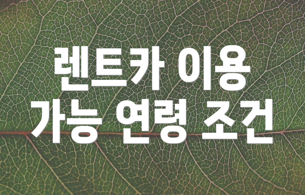 렌트카 이용 가능 연령 조건