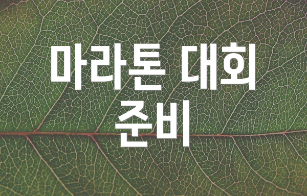 마라톤 대회 준비