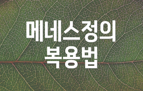 메네스정의 복용법