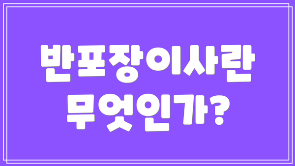 반포장이사란 무엇인가?