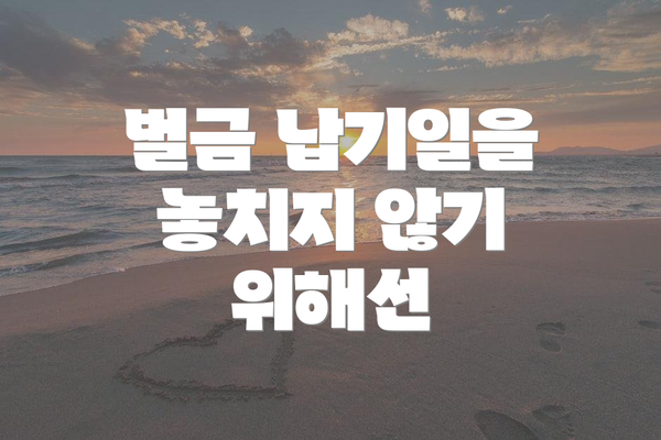 벌금 납기일을 놓치지 않기 위해선