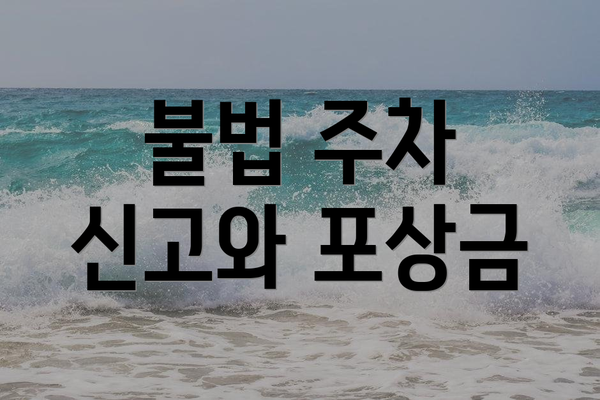 불법 주차 신고와 포상금