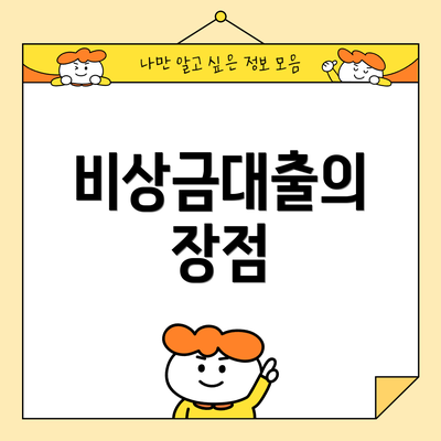 비상금대출의 장점