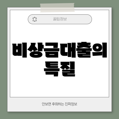 비상금대출의 특질