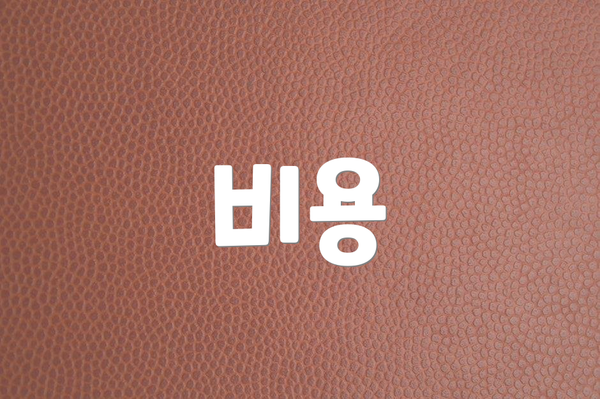 비용