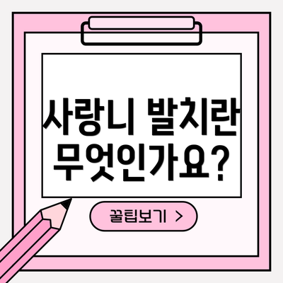 사랑니 발치란 무엇인가요?