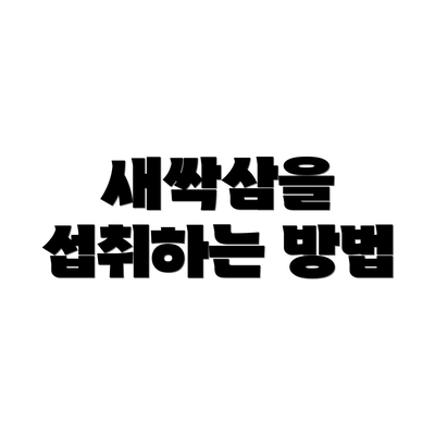 새싹삼을 섭취하는 방법