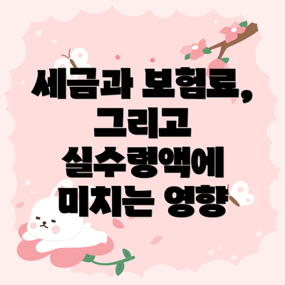 세금과 보험료, 그리고 실수령액에 미치는 영향