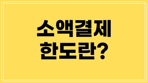 소액결제 한도란?