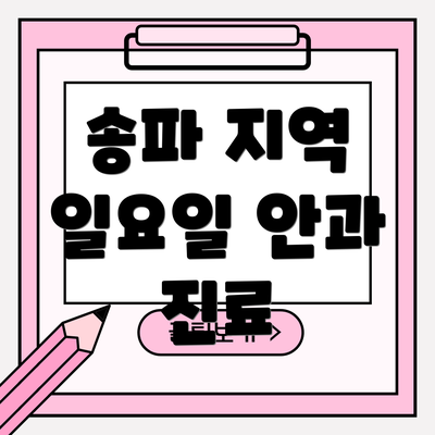 송파 지역 일요일 안과 진료