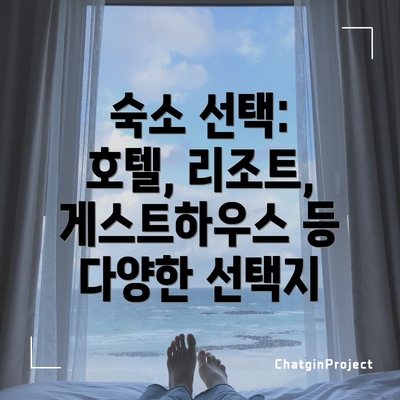 숙소 선택: 호텔, 리조트, 게스트하우스 등 다양한 선택지
