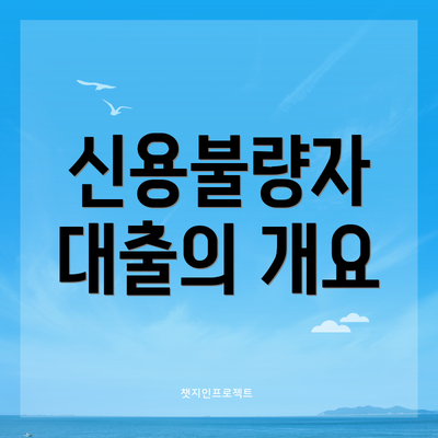 신용불량자 대출의 개요