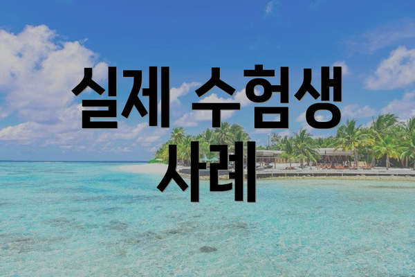 실제 수험생 사례
