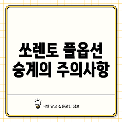 쏘렌토 풀옵션 승계의 주의사항