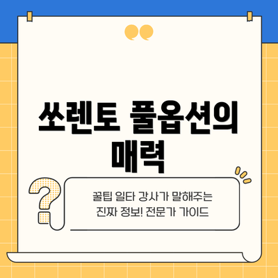 쏘렌토 풀옵션의 매력