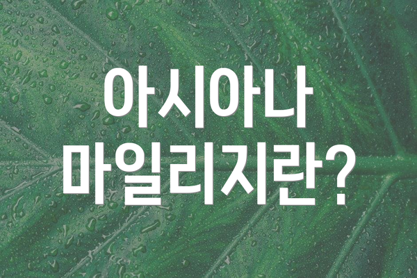 아시아나 마일리지란?