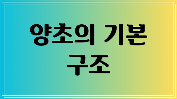 양초의 기본 구조