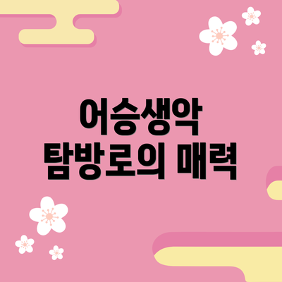 어승생악 탐방로의 매력