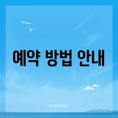 예약 방법 안내