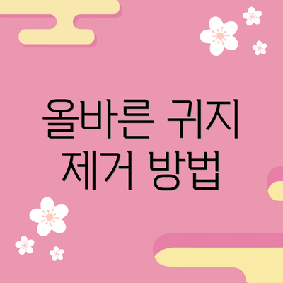 올바른 귀지 제거 방법