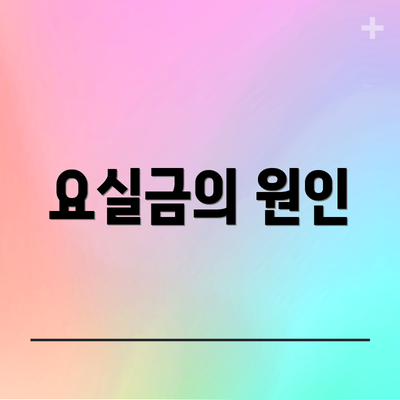 요실금의 원인
