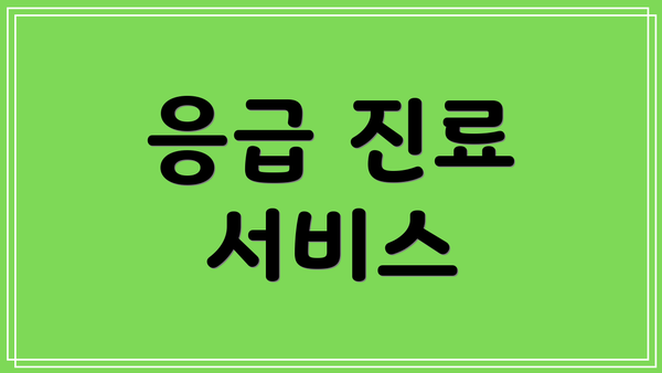응급 진료 서비스