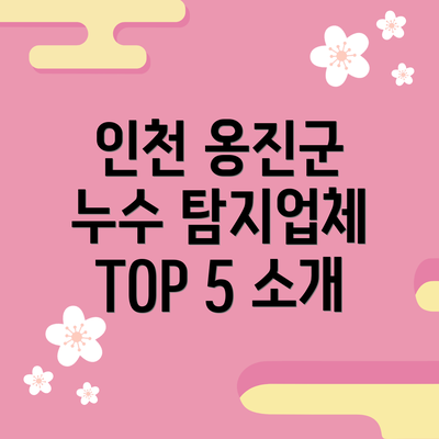 인천 옹진군 누수 탐지업체 TOP 5 소개