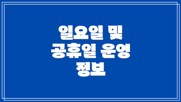 일요일 및 공휴일 운영 정보