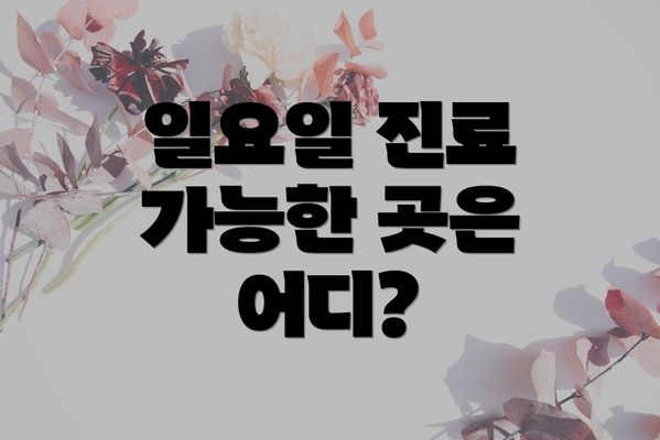 일요일 진료 가능한 곳은 어디?