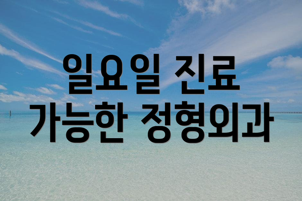 일요일 진료 가능한 정형외과