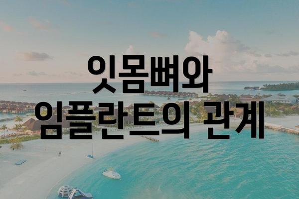 잇몸뼈와 임플란트의 관계