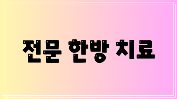 전문 한방 치료