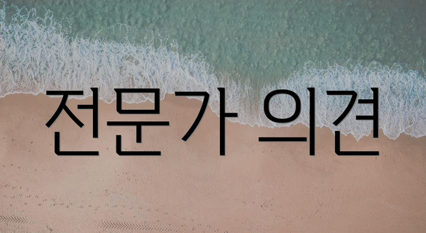 전문가 의견