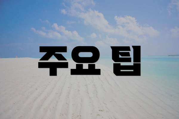 주요 팁