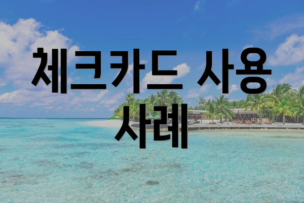 체크카드 사용 사례