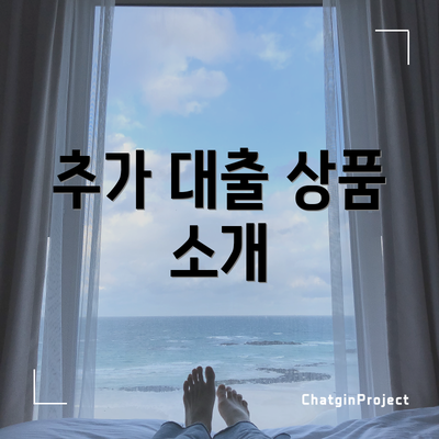 추가 대출 상품 소개