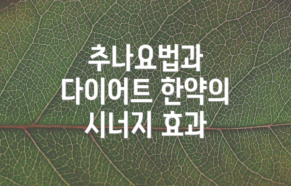 추나요법과 다이어트 한약의 시너지 효과