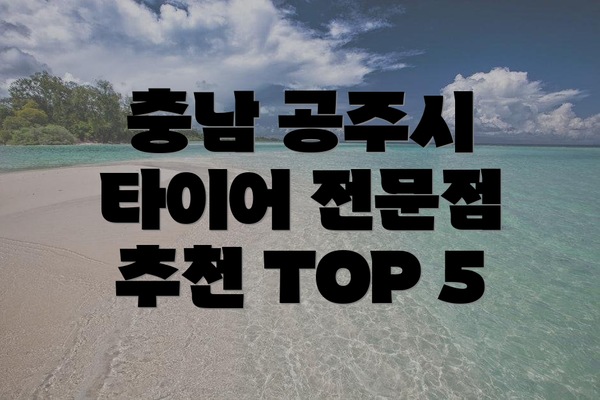 충남 공주시 타이어 전문점 추천 TOP 5
