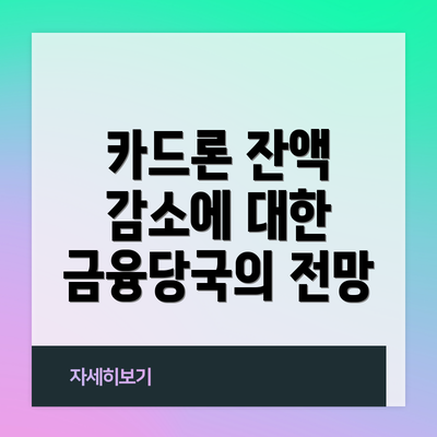 카드론 잔액 감소에 대한 금융당국의 전망