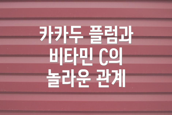 카카두 플럼과 비타민 C의 놀라운 관계