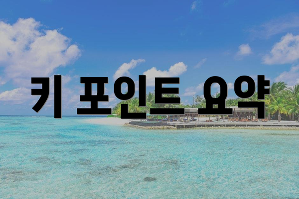 키 포인트 요약