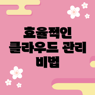 효율적인 클라우드 관리 비법
